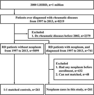 Neoplasm Risk in Rheumatic Diseases Has No Correlation With Conventional Synthetic Disease-Modifying Anti-rheumatic Drugs Usage—A Population-Based Nested Case–Control Study